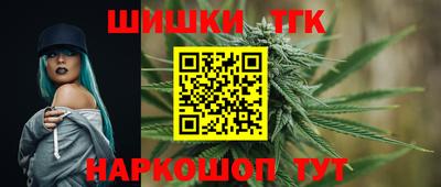 стаф Новодвинск