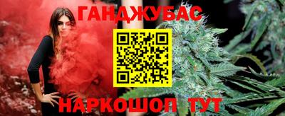 стаф Новодвинск