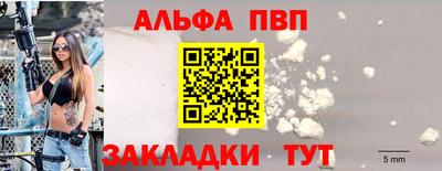стаф Новодвинск