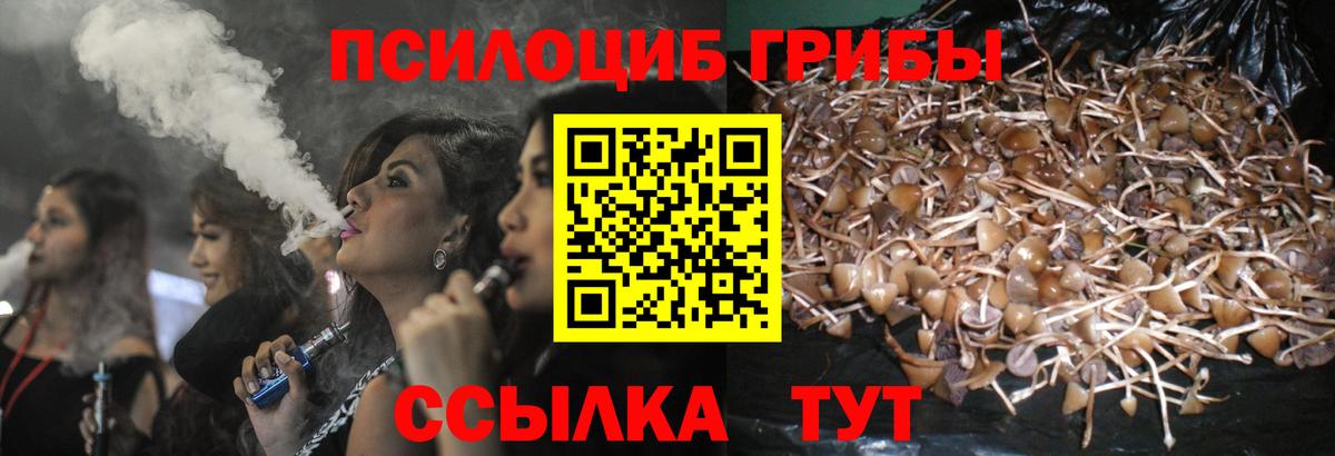 Галлюциногенные грибы прущие грибы Сертолово