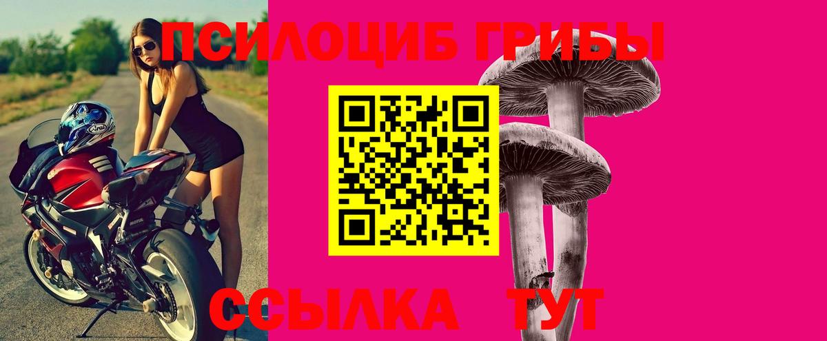 Псилоцибиновые грибы прущие грибы  Вход с VPN  Сертолово 